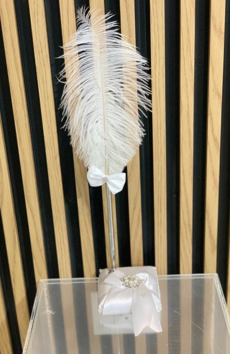 قلم ريش لكتب الكتاب